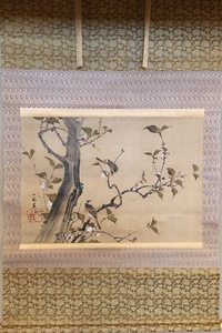 沖一峨 桜小禽図