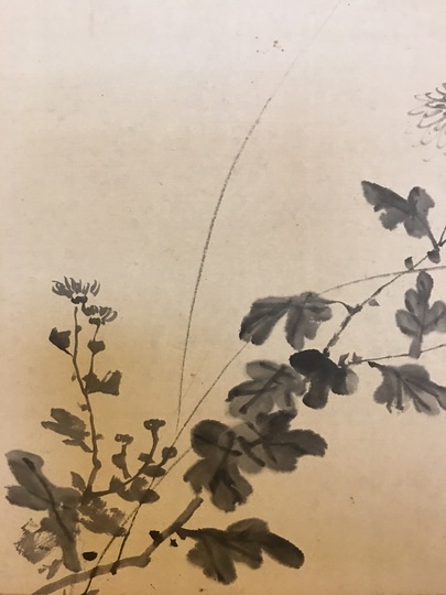 円山応挙 籠菊図｜古美術・掛け軸の販売・買取・鑑定-松本松栄堂