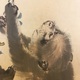 森祖仙 蓮尭猿之図 7