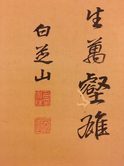 Shirakawa Shizan tiger｜Matsumoto Shoeido | Japanese