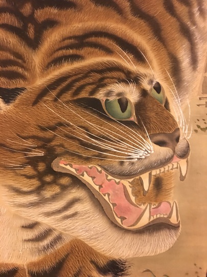 Shirakawa Shizan tiger｜Matsumoto Shoeido | Japanese