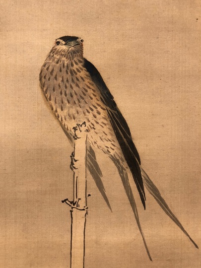 Kawata Shoryu flower and bird｜Matsumoto Shoeido | Japanese