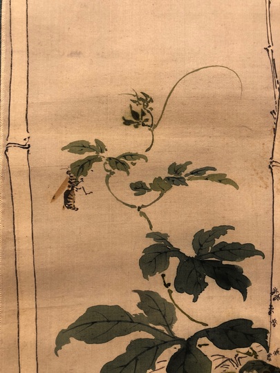 真作】掛軸 永田春水 葡萄に栗鼠図 花鳥画 淡彩 逸品 合箱入