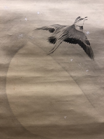 掛け軸/月下の鳥？ 掛軸 (掛け軸) 江川香夕 （鶴亀）尺五立 約横55×縦185cm b0018