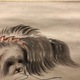 森祖仙 狆図 5