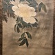 宋紫石 蝦蟇仙人図 左右牡丹図 10