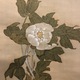 宋紫石 蝦蟇仙人図 左右牡丹図 23