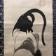 伊藤若冲 鶏図 5