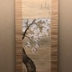 山口素絢 八重桜花図 2