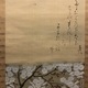 山口素絢 八重桜花図 5