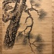 岡本秋暉 老松隼図 6