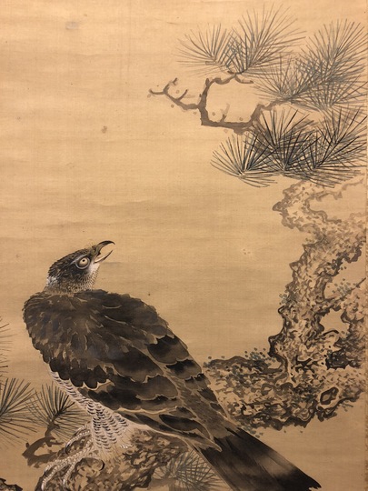 岡本秋暉 老松隼図|古美術・掛け軸の販売・買取・鑑定-松本松栄堂 岡本秋暉 老松隼図|古美術・掛け軸の販売・買取・鑑定-松本松栄堂