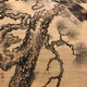 岡本秋暉 老松隼図 8