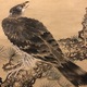 岡本秋暉 老松隼図 9