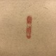 白隠慧鶴 名号 4