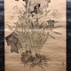 椿椿山 水仙湖石図 7