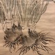 椿椿山 水仙湖石図 11