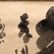 白隠慧鶴 親置字 8