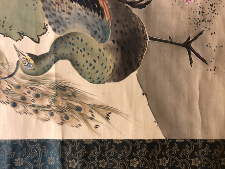 佐々木敬城 孔雀 | 掛軸(掛け軸)販売／表装ご依頼は掛軸いっぷく