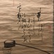 白隠慧鶴 茶柄杓画賛 7