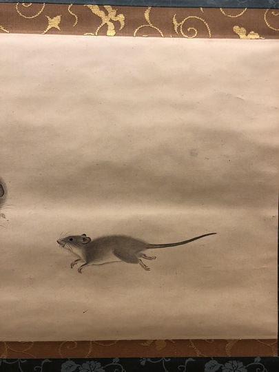白井直賢 鼠図｜古美術・掛け軸の販売・買取・鑑定-松本松栄堂