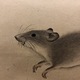 白井直賢 鼠図 9