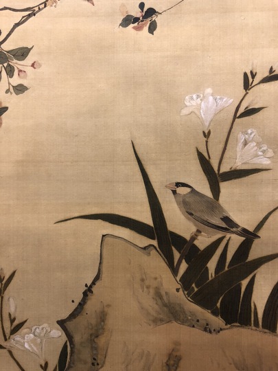 Shiba Kokan Flower and birds｜Matsumoto Shoeido | Japanese Paintings and Calligraphy