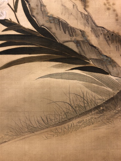 Shiba Kokan Flower and birds｜Matsumoto Shoeido | Japanese Paintings and Calligraphy
