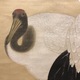 駒井源琦 松に鶴図 10
