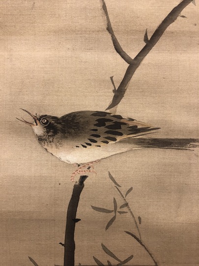 岡本秋暉 桜に鳥図｜古美術・掛け軸の販売・買取・鑑定-松本松栄堂