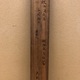 桑山玉洲 藻鯉図 12