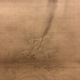 酒井抱一 富士越龍図 9