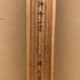 森川曽文 円窓美人図 12