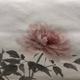 山口華楊 牡丹 5