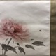 山口華楊 牡丹 4