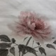 山口華楊 牡丹 7