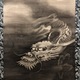 原在中 龍虎図 4
