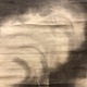 原在中 龍虎図 8