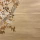 渡辺省亭 桜樹狗児 12