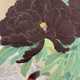 池上秀畝 黒光司 11
