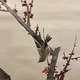 鈴木松年 紅梅鶯図 8