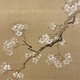 蹄斎北馬 桜下美人図 9