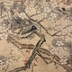 狩野栄川院典信 梅潜寿老図 8