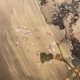 宋紫石 鶏図 9