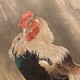 宋紫石 鶏図 10