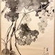 松林桂月 葡萄図 5
