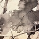 松林桂月 葡萄図 9