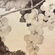 松林桂月 葡萄図 10