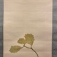 池上秀畝 柏鷹 4