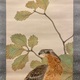 池上秀畝 柏鷹 5